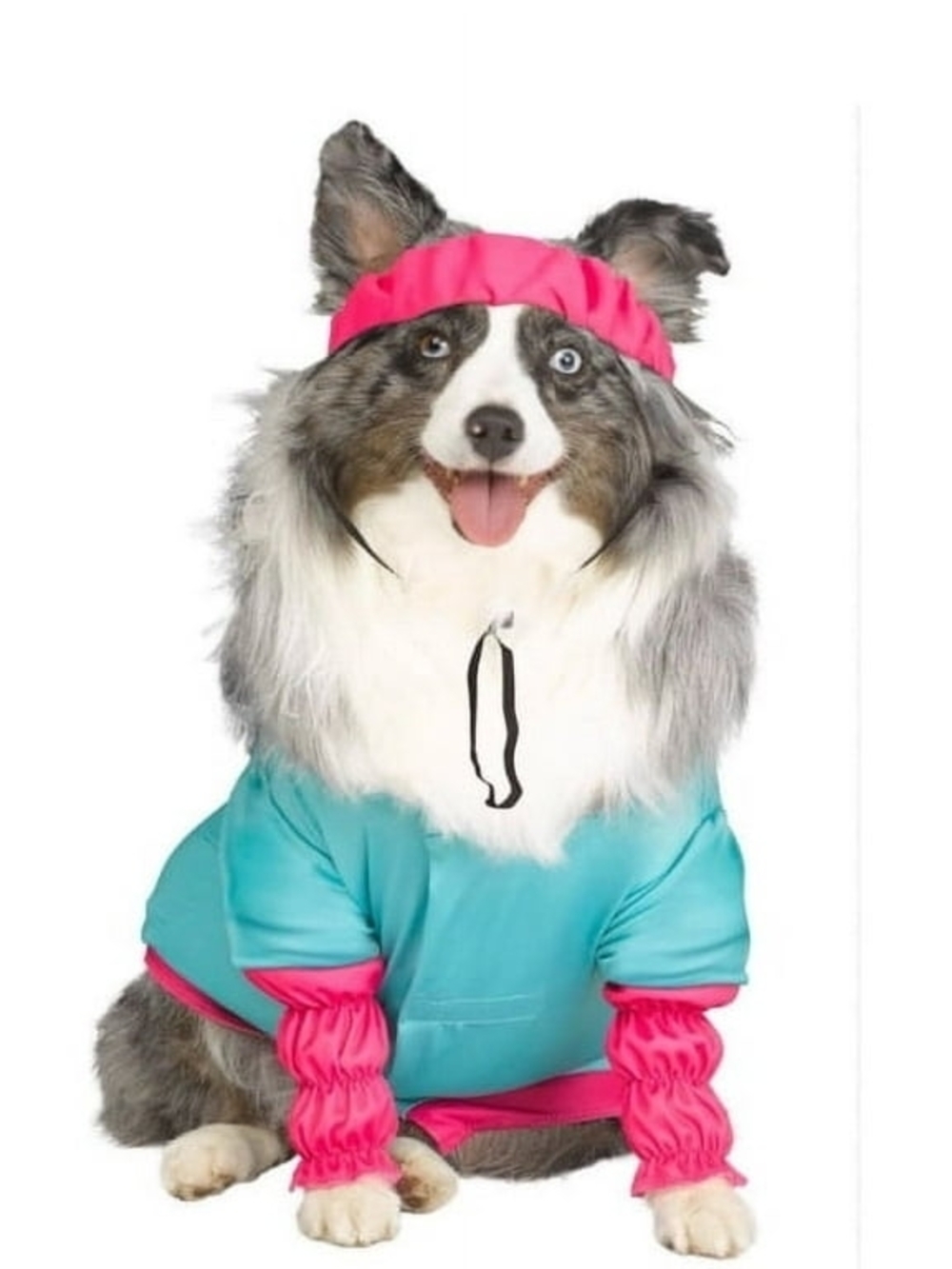 Barbie Pet Aerobics Costume in Light Blue and Pink New - Picture 3 of 10